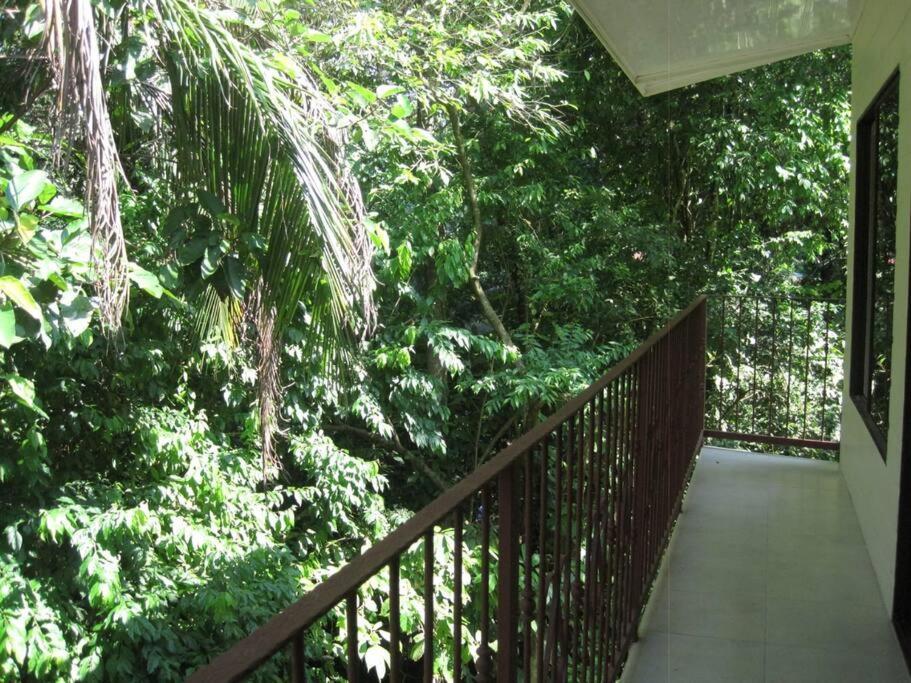 Puerto Viejo de Talamanca Casa Palmera Cocles, 300M To The Beach מראה חיצוני תמונה