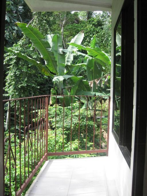 Puerto Viejo de Talamanca Casa Palmera Cocles, 300M To The Beach מראה חיצוני תמונה