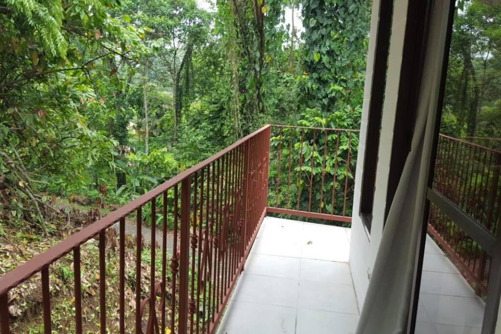Puerto Viejo de Talamanca Casa Palmera Cocles, 300M To The Beach מראה חיצוני תמונה
