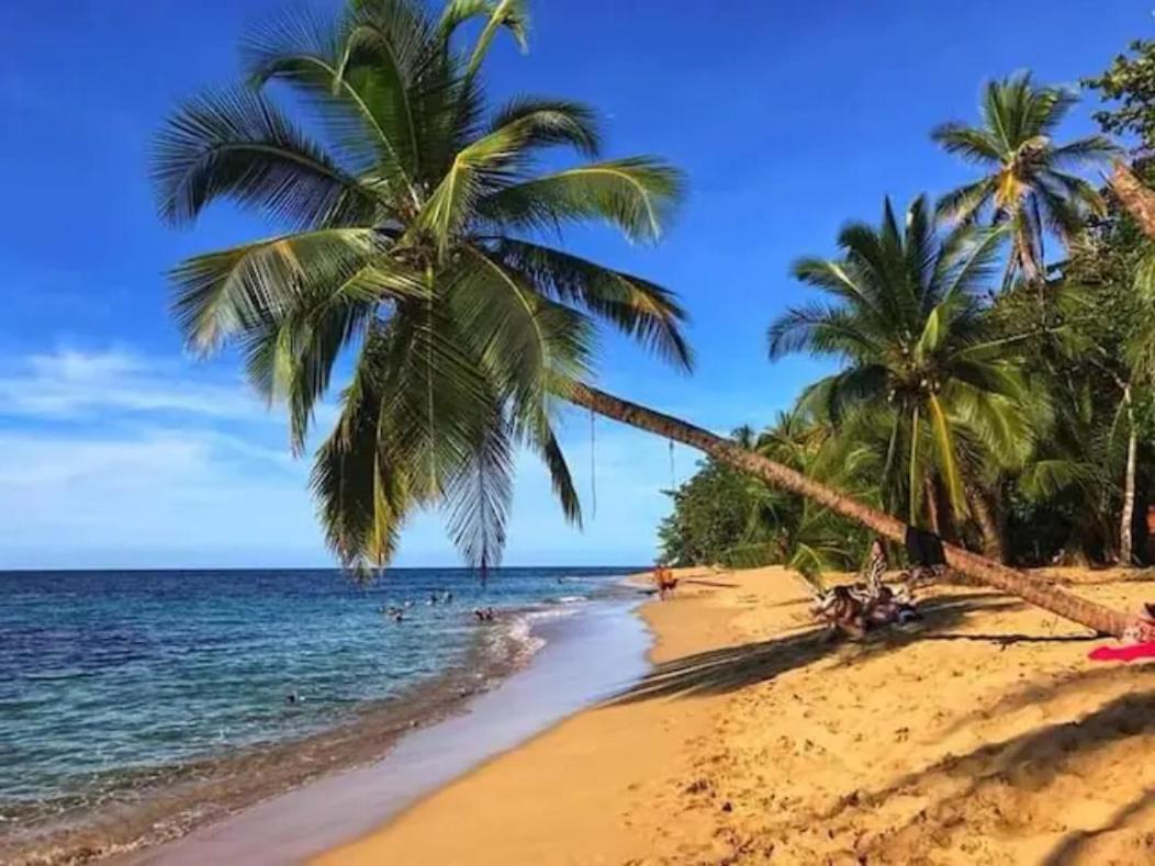 Puerto Viejo de Talamanca Casa Palmera Cocles, 300M To The Beach מראה חיצוני תמונה