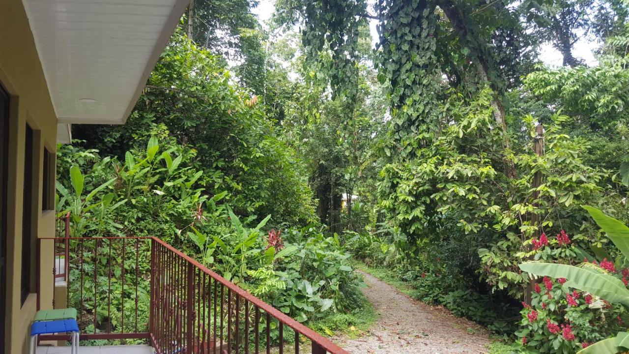 Puerto Viejo de Talamanca Casa Palmera Cocles, 300M To The Beach מראה חיצוני תמונה